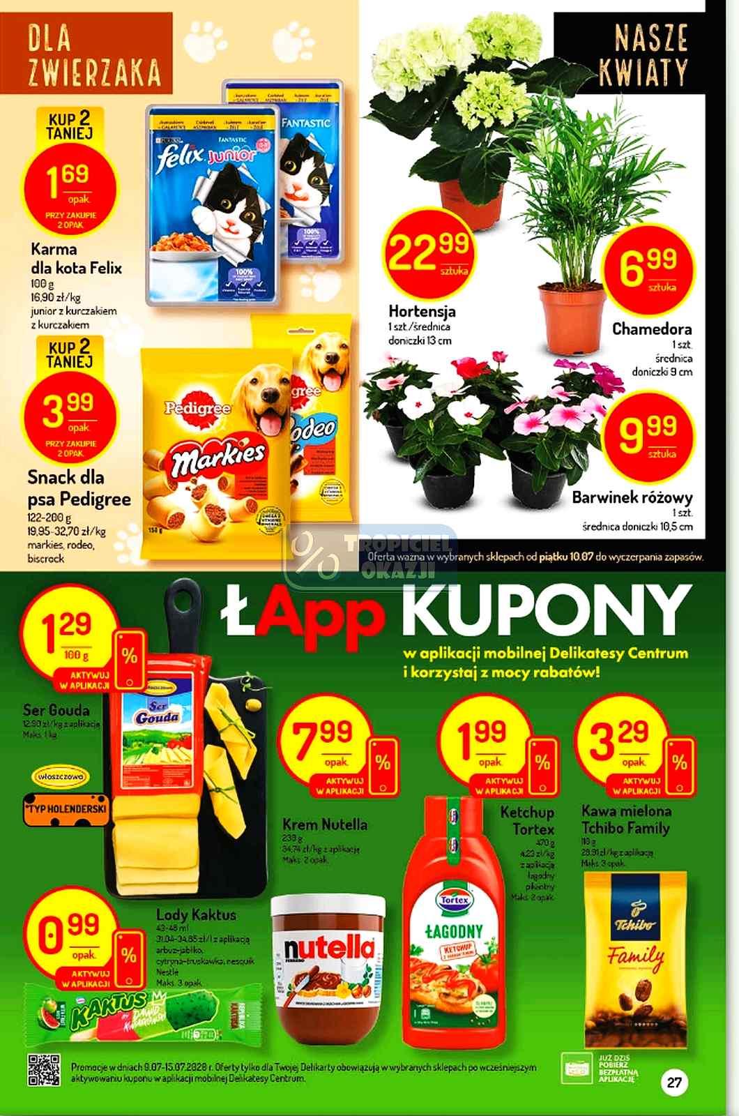 Gazetka promocyjna Delikatesy Centrum str. 27