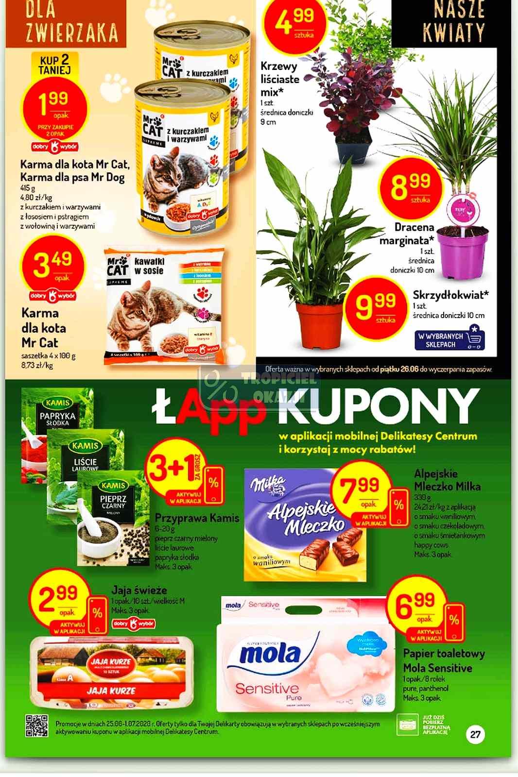 Gazetka promocyjna Delikatesy Centrum str. 27