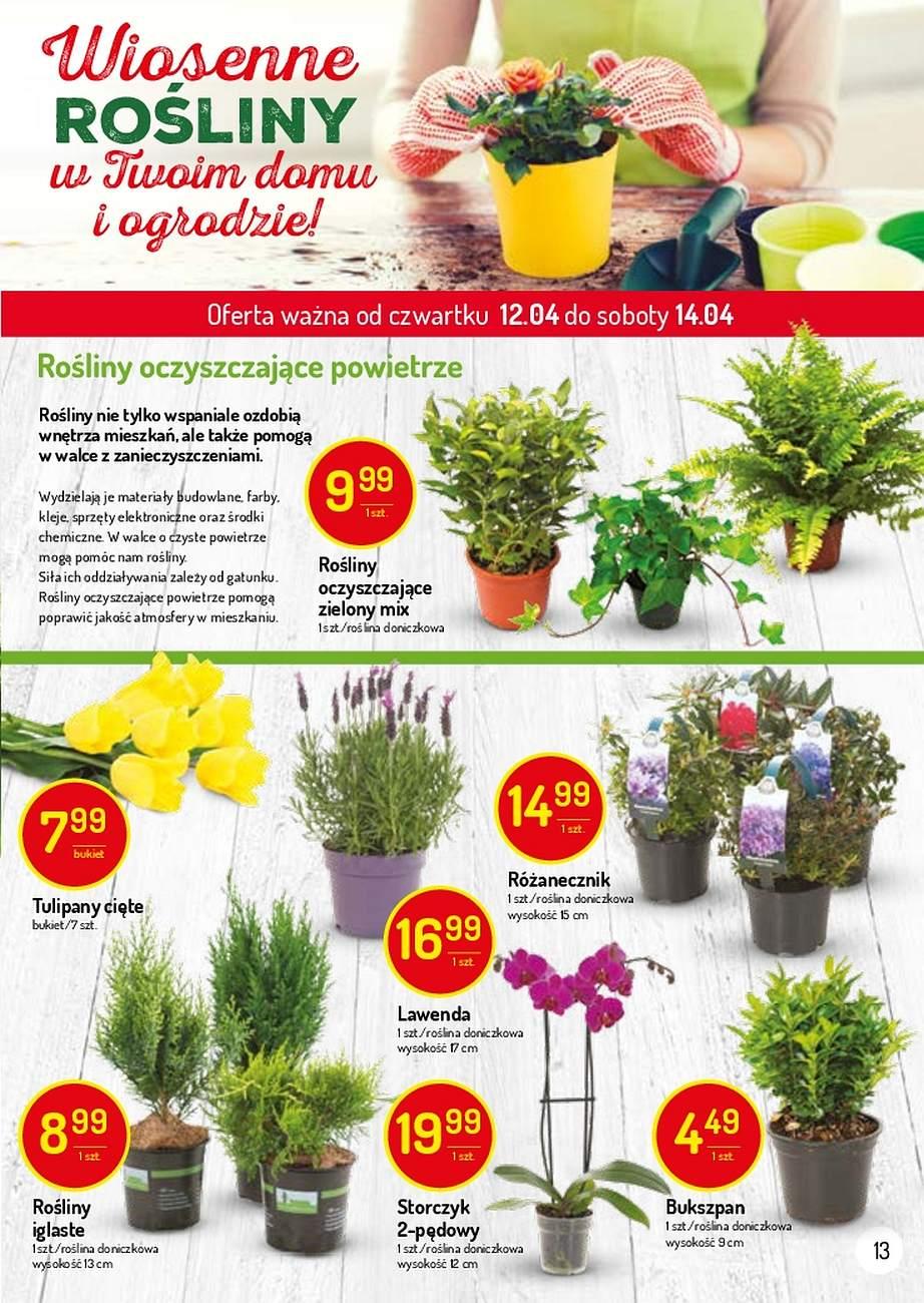 Gazetka promocyjna Delikatesy Centrum str. 13