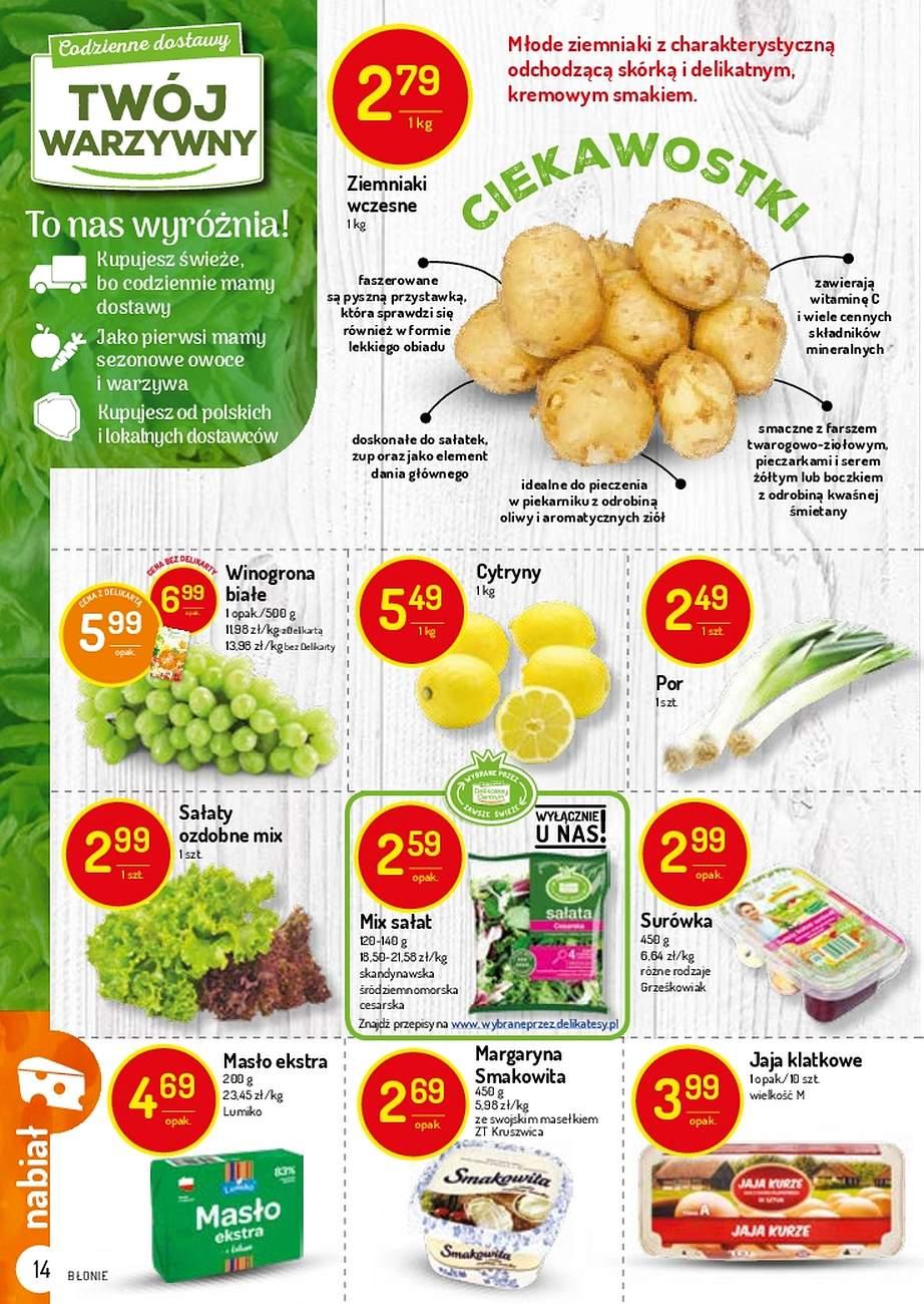 Gazetka promocyjna Delikatesy Centrum str. 14