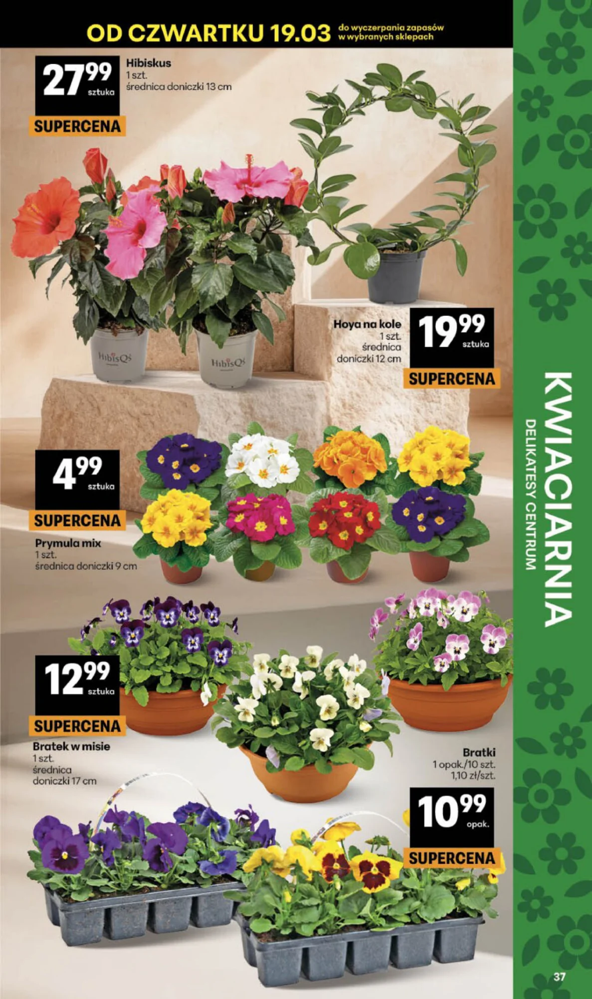 Gazetka promocyjna Delikatesy Centrum str. 37