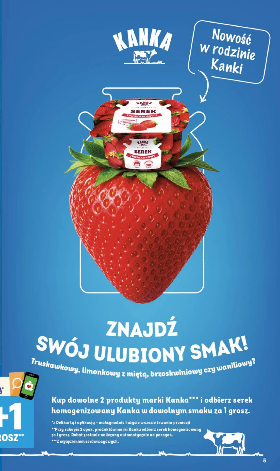 Gazetka promocyjna Delikatesy Centrum str. 5