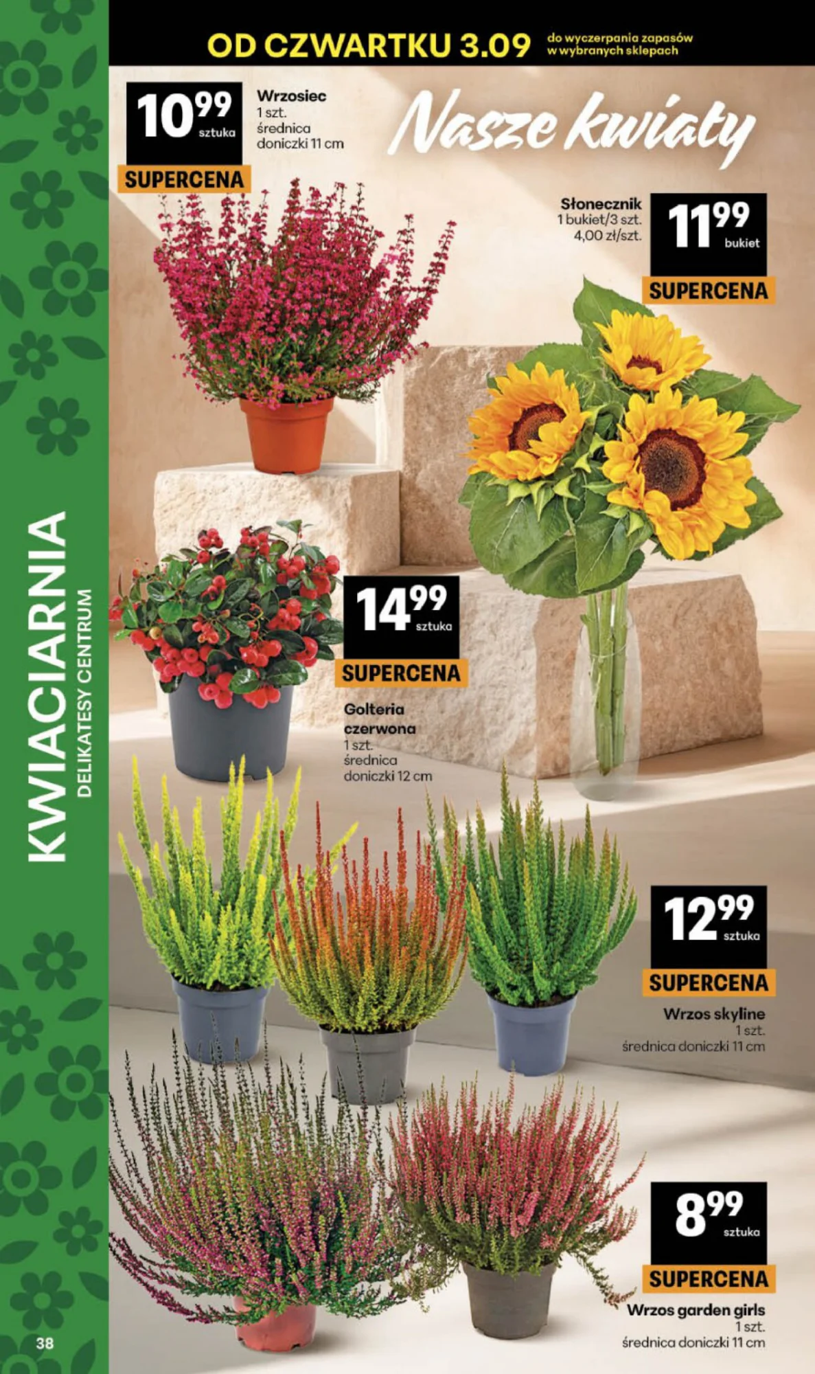Gazetka promocyjna Delikatesy Centrum str. 38