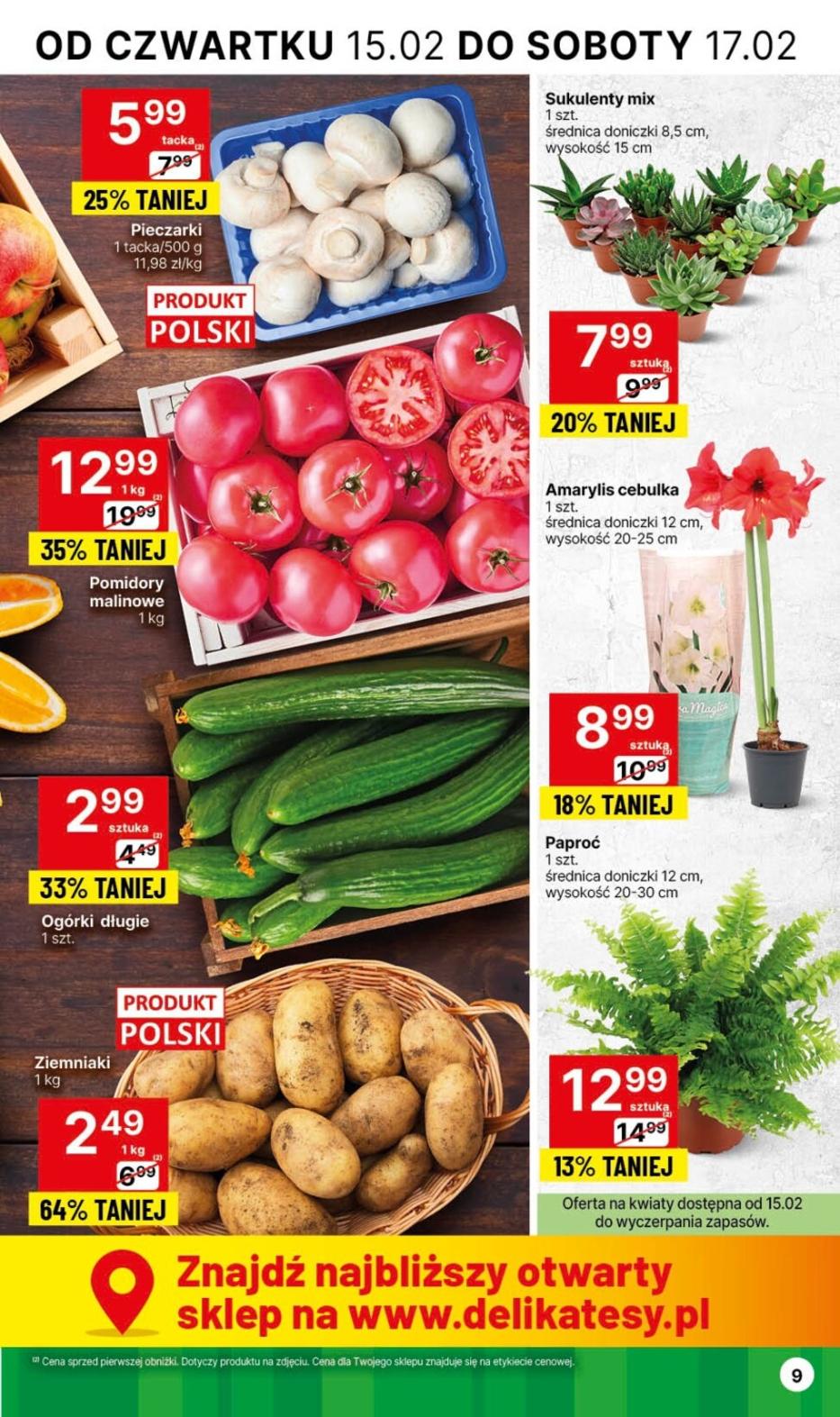 Gazetka promocyjna Delikatesy Centrum str. 9