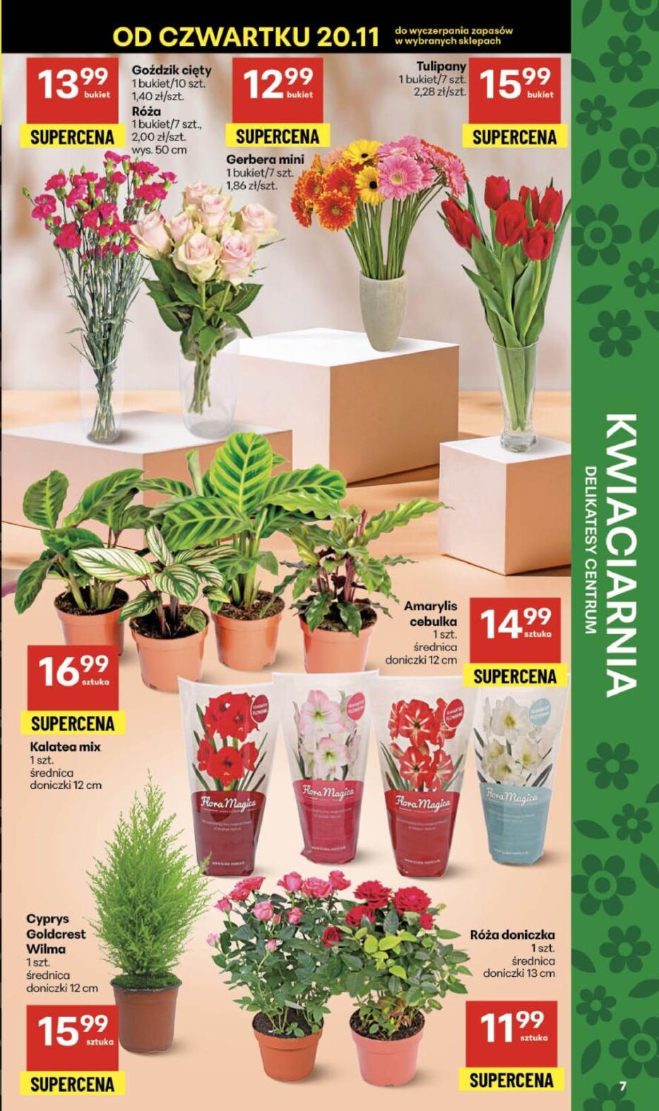 Gazetka promocyjna Delikatesy Centrum str. 7