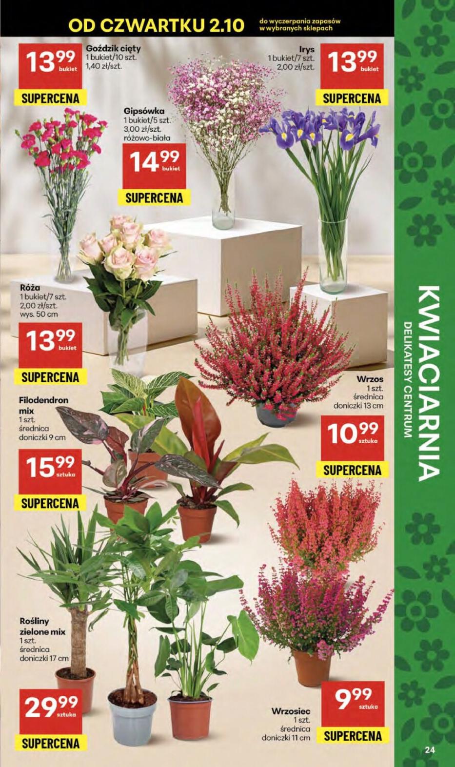 Gazetka promocyjna Delikatesy Centrum str. 24