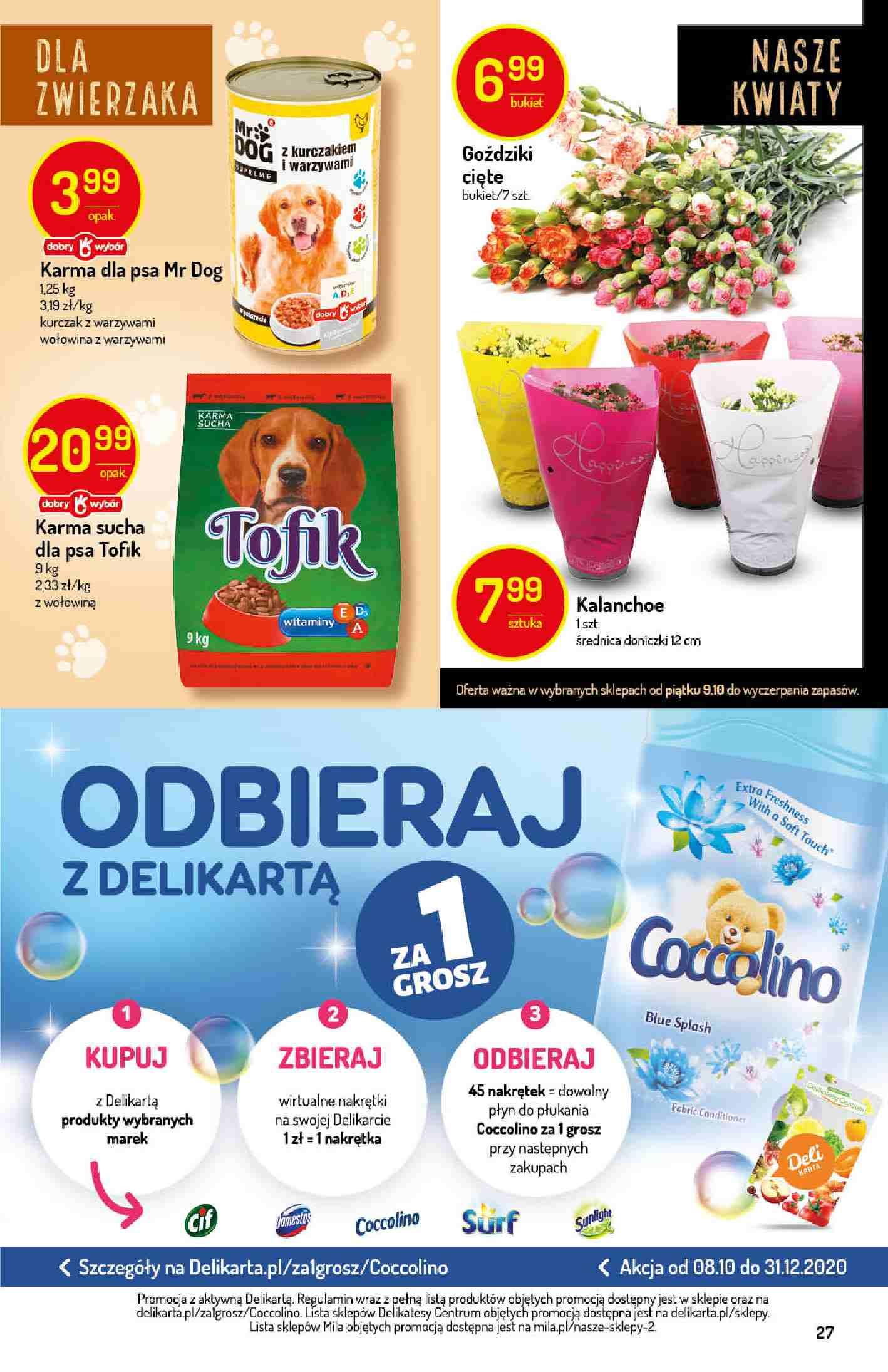 Gazetka promocyjna Delikatesy Centrum str. 27