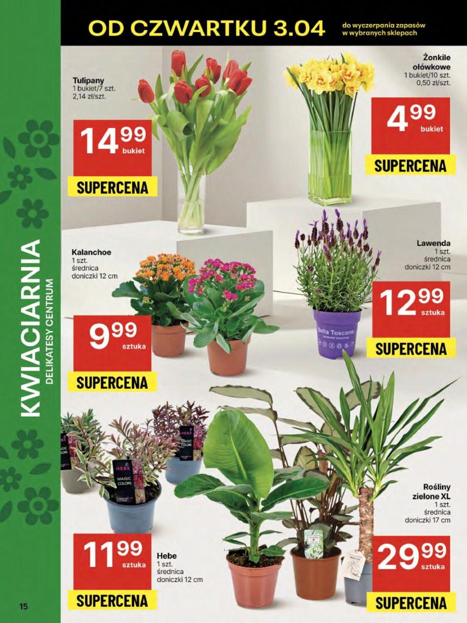 Gazetka promocyjna Delikatesy Centrum str. 15
