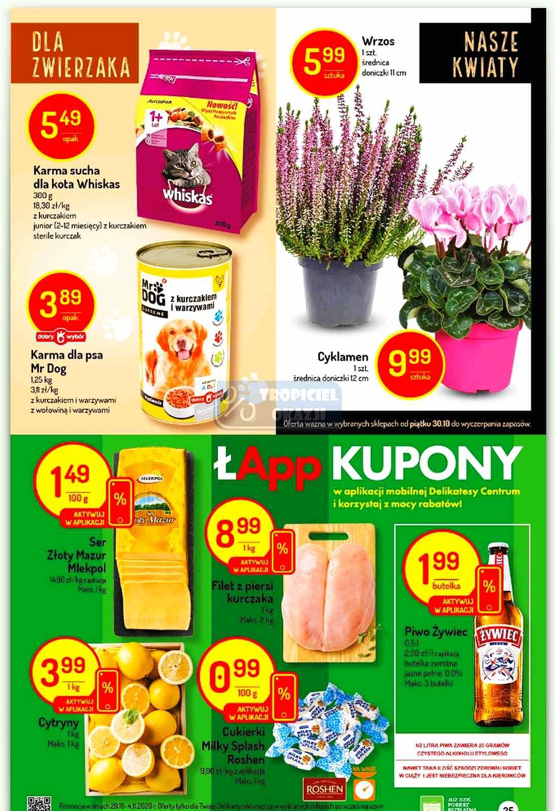 Gazetka promocyjna Delikatesy Centrum str. 25