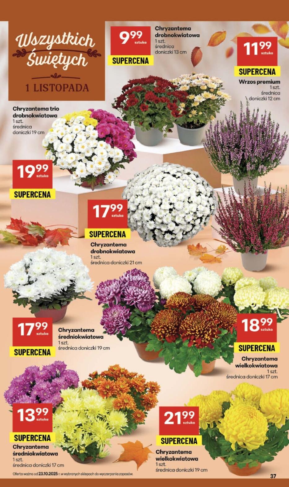 Gazetka promocyjna Delikatesy Centrum str. 37