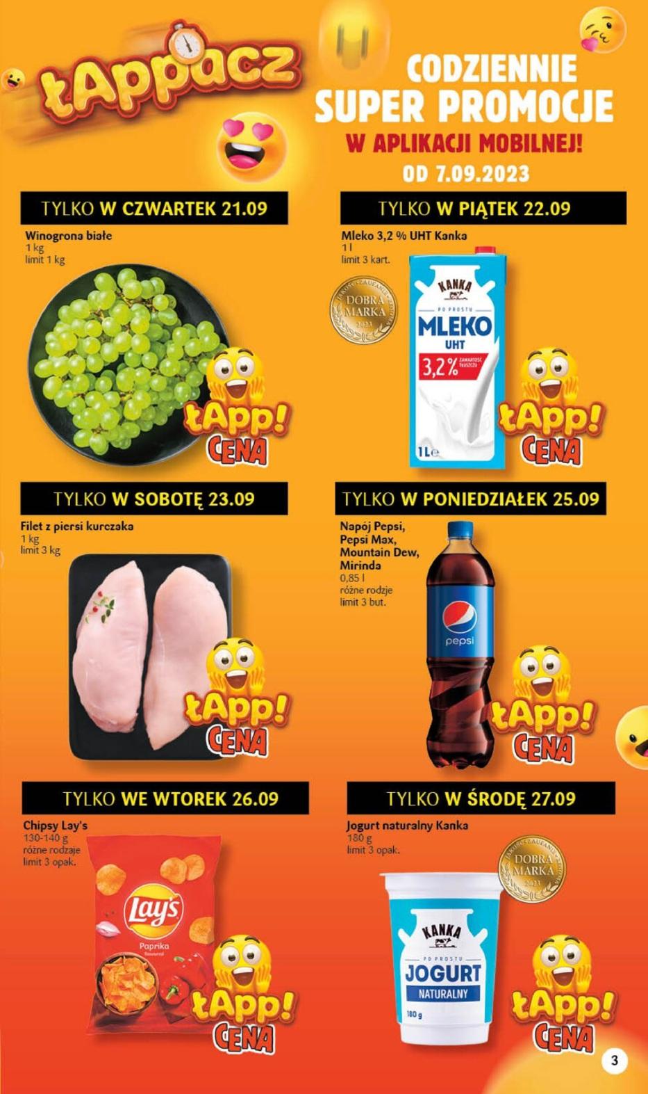 Gazetka promocyjna Delikatesy Centrum str. 3