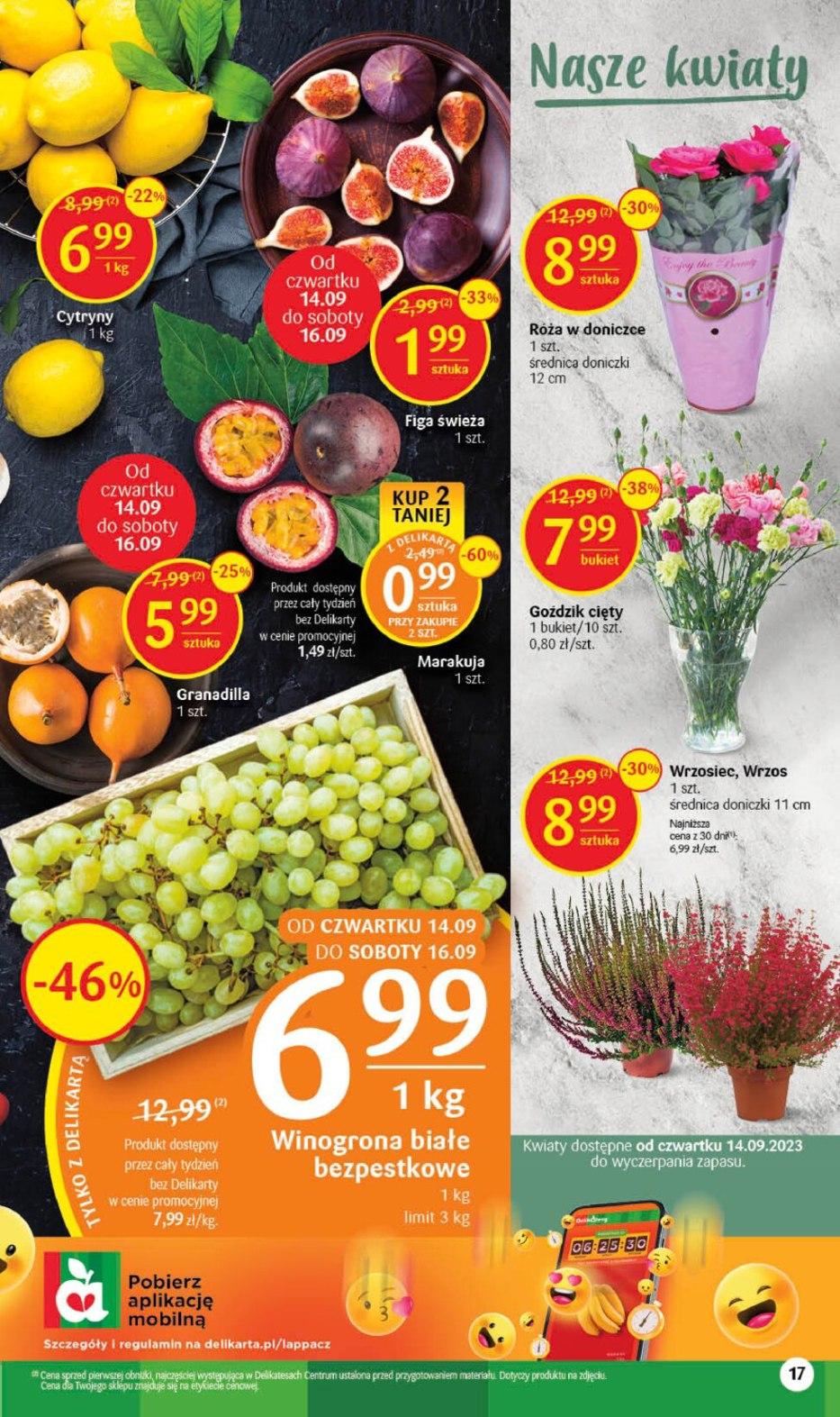 Gazetka promocyjna Delikatesy Centrum str. 16