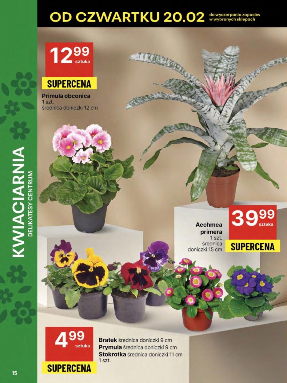 Gazetka promocyjna Delikatesy Centrum str. 15