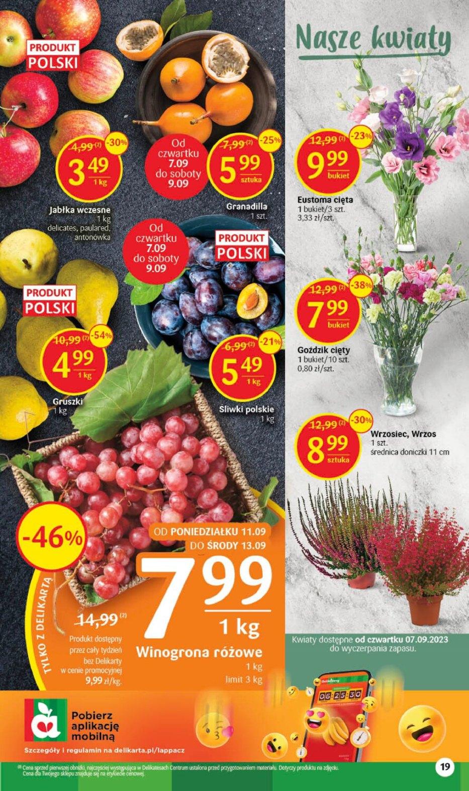 Gazetka promocyjna Delikatesy Centrum str. 19