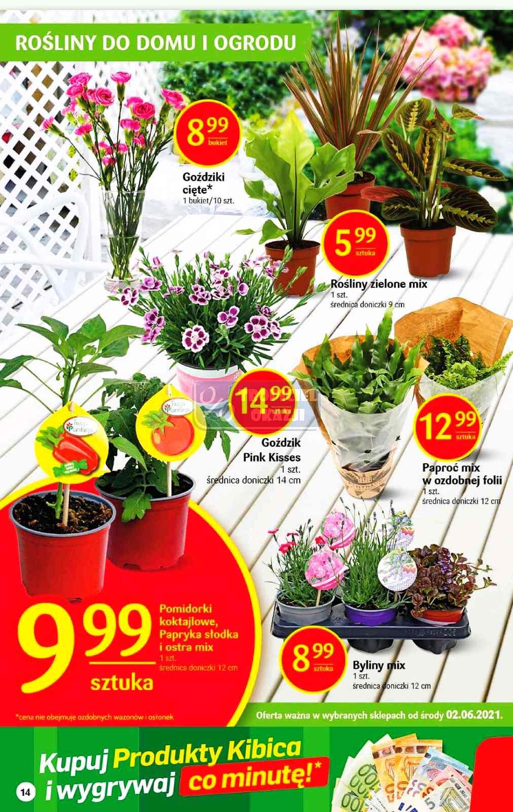 Gazetka promocyjna Delikatesy Centrum str. 14