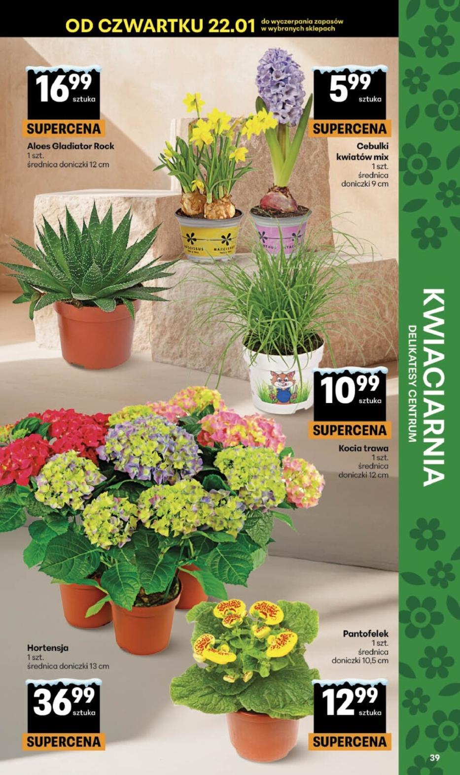 Gazetka promocyjna Delikatesy Centrum str. 39