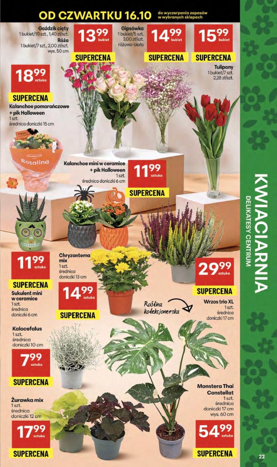 Gazetka promocyjna Delikatesy Centrum str. 22