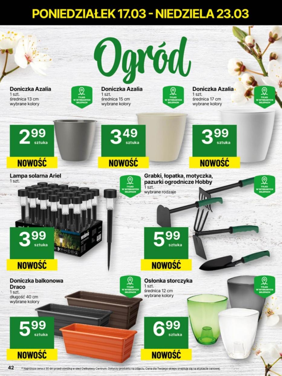Gazetka promocyjna Delikatesy Centrum str. 42