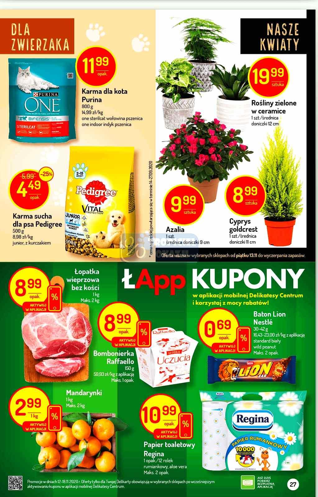 Gazetka promocyjna Delikatesy Centrum str. 27