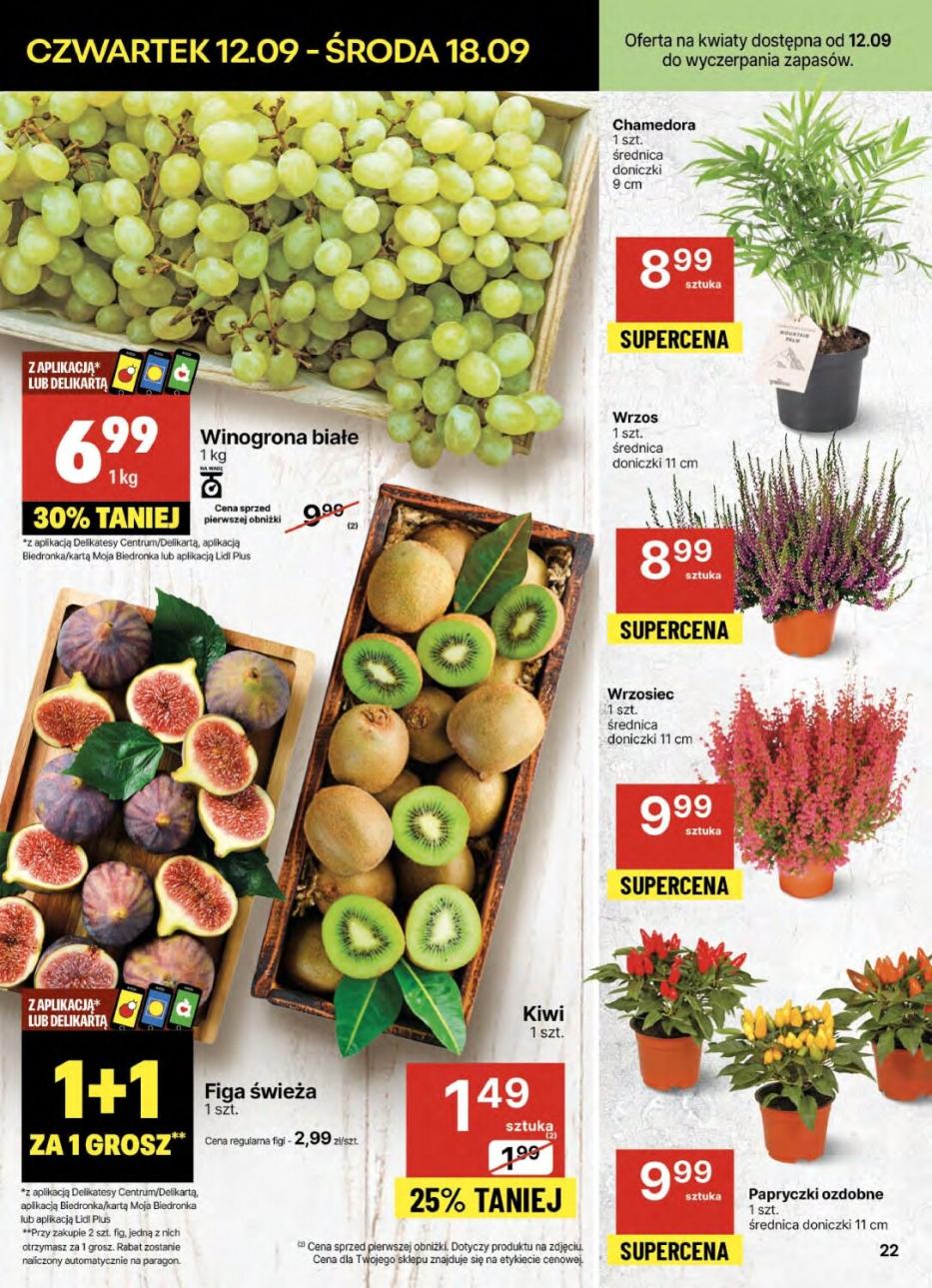 Gazetka promocyjna Delikatesy Centrum str. 22