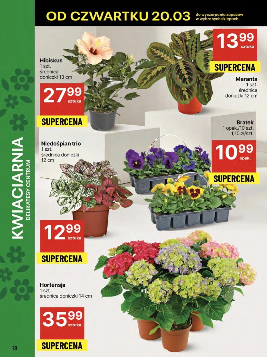 Gazetka promocyjna Delikatesy Centrum str. 18