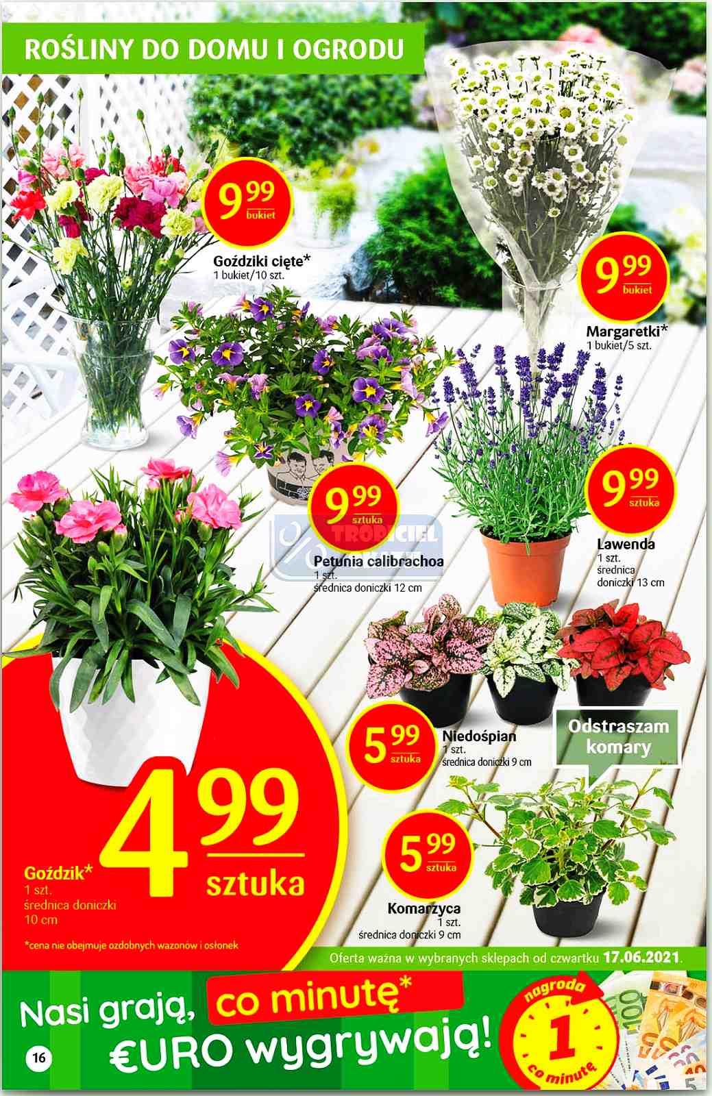 Gazetka promocyjna Delikatesy Centrum str. 16