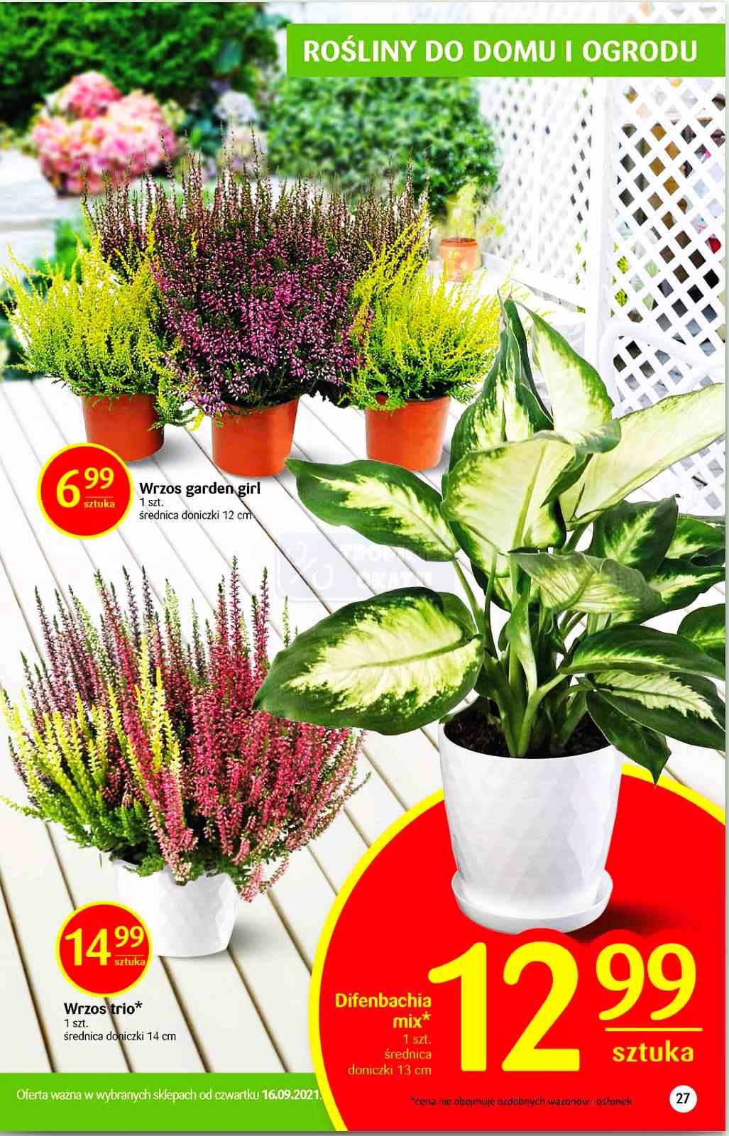 Gazetka promocyjna Delikatesy Centrum str. 27