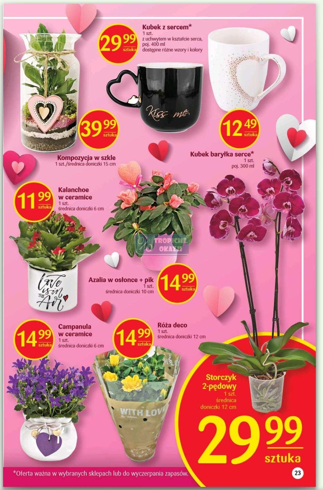 Gazetka promocyjna Delikatesy Centrum str. 23